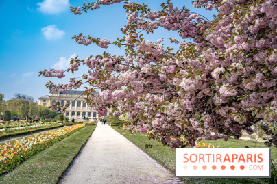 Le Jardin des Plantes