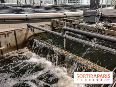 Earth Month à Disneyland Paris