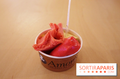 Amorino x Nina Ricci