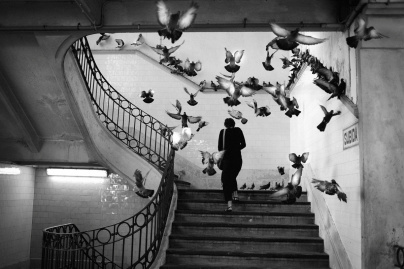 Ethereal: A Daily Poetry + Street Sans Frontières  •  International Photo Expo