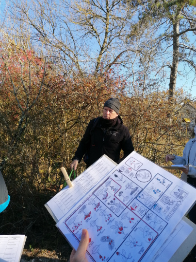 Activités sportives, visites culturelles et aventures partagées : des vacances pleines de souvenirs au Pays de Fontainebleau !