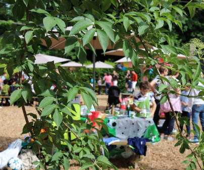Une sortie en pleine nature à proximité de Paris en 2026 - AccroCamp