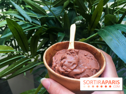 Les glaces au chocolat de Ducasse 