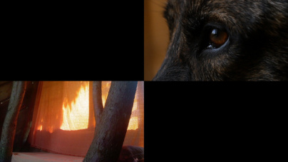 Nuit Blanche 2019 aux Grands Voisins