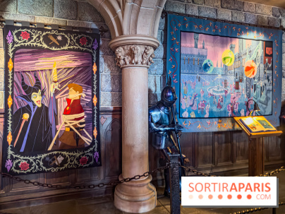 Visuels Disneyland Paris - tapisserie château belle au bois dormant