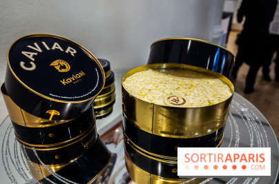 Bûches de Noël 2019 by Hugo & Victor, les photos