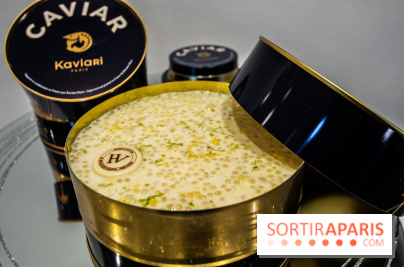 Bûches de Noël 2019 by Hugo & Victor, les photos