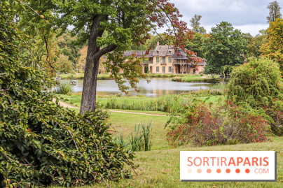 Le parcours des Arbres Admirables dans le domaine du château de Versailles