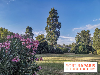 Le parcours des Arbres Admirables dans le domaine du château de Versailles