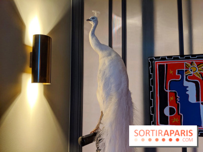 Vincent Darré x Cointreau