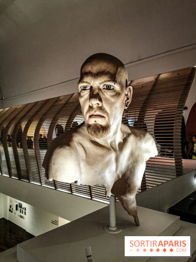 La course nocturne de la Nuit Blanche, les photos