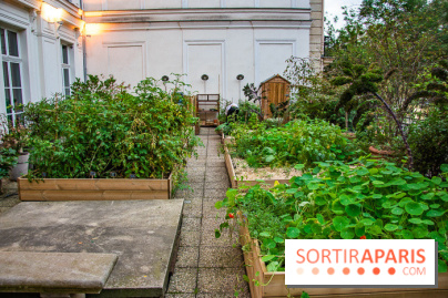 L'Hôtel des Grands Boulevards inaugure son potager suspendu