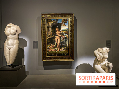 Exposition Léonard de Vinci au Louvre, les photos