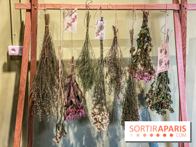 Bergamotte Kinfolk, la nouvelle collection de fleurs séchées naturellement