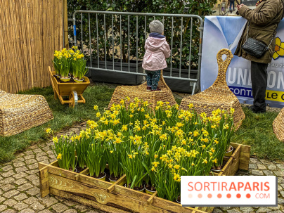 Une Jonquille pour Curie au Panthéon