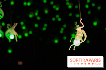 Araignées, Lucioles et Papillons au Musée en Herbe : nos photos