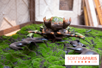 Araignées, Lucioles et Papillons au Musée en Herbe : nos photos