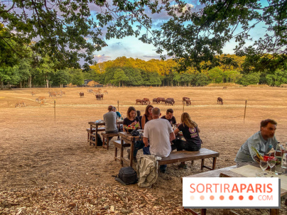 Photos du Dîner Safari du Zoo de Thoiry