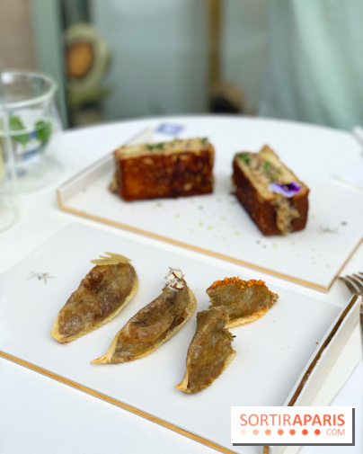 Maison Gazelle - été 2020