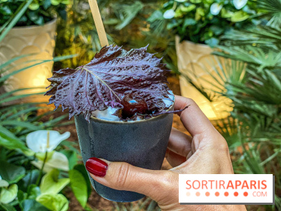 Photos bar 19.20 au Prince de Galles