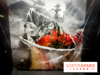 Mythologies du poisson rouge, l'exposition de l'Appart Renoma, nos photos