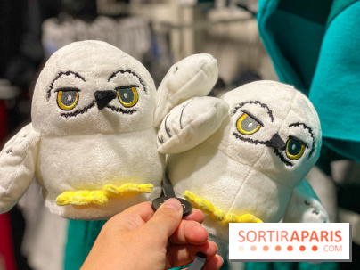 Les Chaussons Hedwige