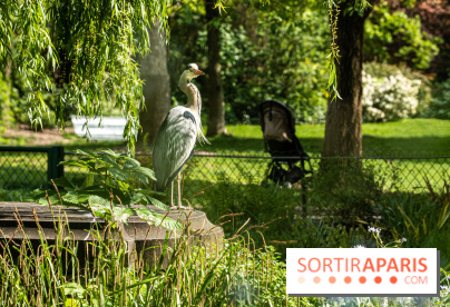 Visuel Paris Parc Monceau