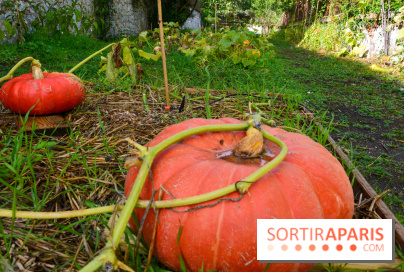 Le Domaine de la Corniche