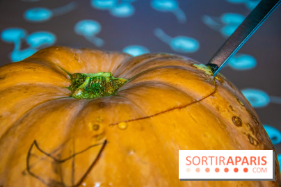 Halloween 2020 : comment creuser sa citrouille ? Le tuto