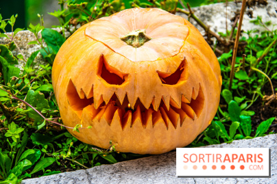 Halloween 2020 : comment creuser sa citrouille ? Le tuto