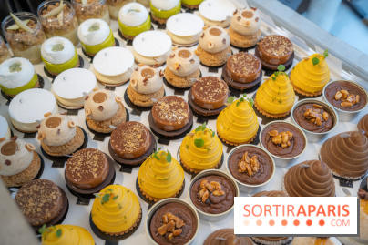 Photos : Les Bûches de Noël de Yann Menguy à la Goutte d'Or Pâtisserie 2020