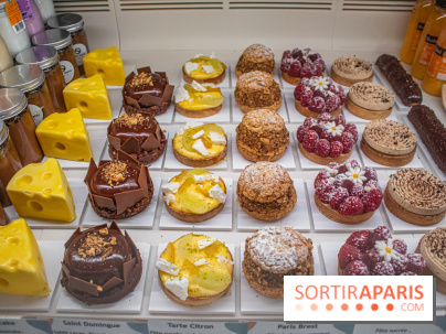 La Fabrique à Toga d'Olivier Stehly