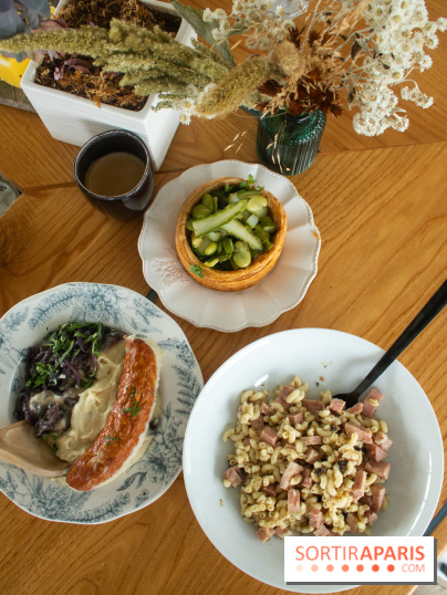 La Fabrique à Toga d'Olivier Stehly