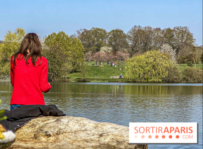 Les cerisiers et arbres en fleurs de l’Arboretum de Chevreloup