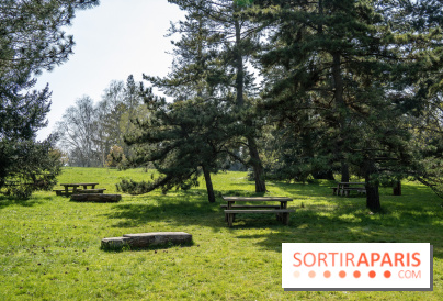 Les cerisiers et arbres en fleurs de l’Arboretum de Chevreloup