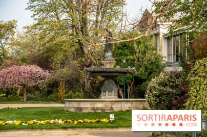 Cerisiers en fleurs à paris et aux alentours - Fontaine des Ambassadeurs