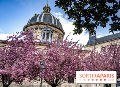 Visuel Paris Cerisiers en fleurs à paris et aux alentours - Square Gabriel Pierné