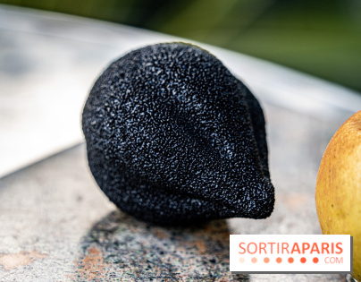 Le Meurice à la Maison