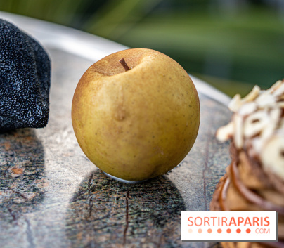 Le Meurice à la Maison