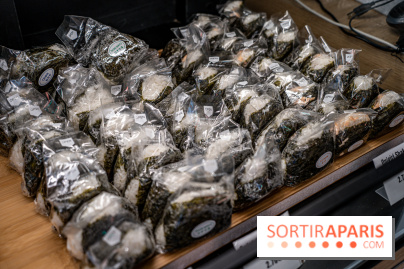 Photos : Mochi Mochi Aki