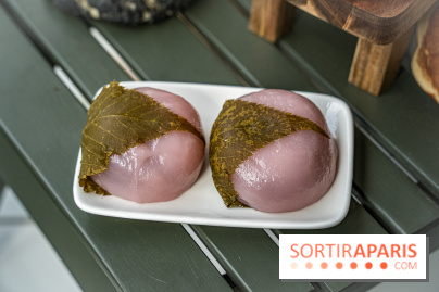 Photos : Mochi Mochi Aki