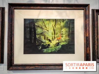 Shizen, l'expo gratuite de Benjamin Lacombe à la galerie Daniel Maghen - nos photos