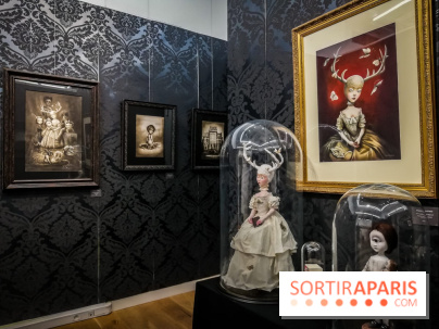 Shizen, l'expo gratuite de Benjamin Lacombe à la galerie Daniel Maghen - nos photos