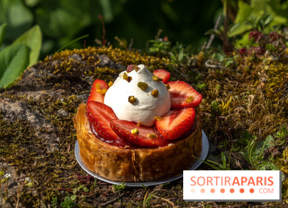 Tartes à la fraise Maison Aleph