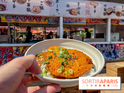 Hanami Paris, Ła terrasse éphémère du Trocadéro - IMG 4490