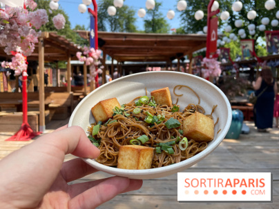 Hanami Paris, Ła terrasse éphémère du Trocadéro - IMG 4492