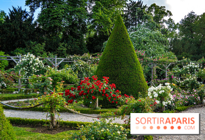 Le Parc de Bagatelle - A7C00138