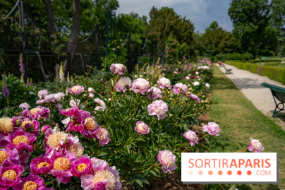 Le Parc de Bagatelle