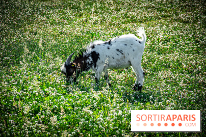 Parrot World, le parc animalier immersif d'Île-de-France