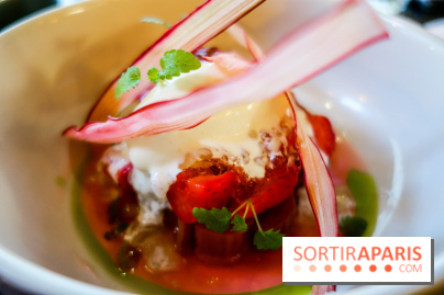 Narro à Paris, nos photos